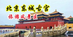 吸奶舔阴抠逼中国北京-东城古宫旅游风景区